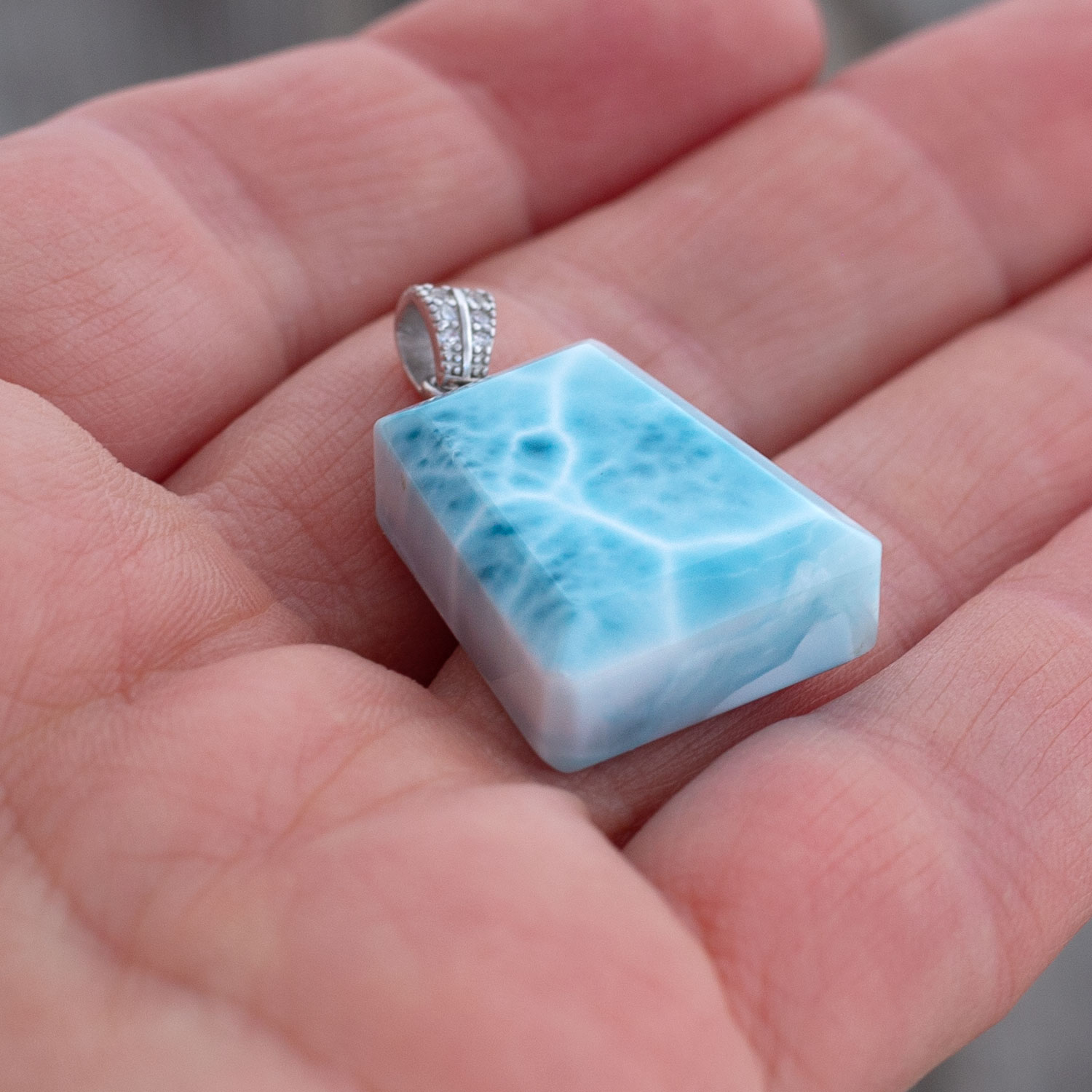 Larimar Anhänger 21x18x7mm trapezförmig AAA+ matrixfrei turtle pattern