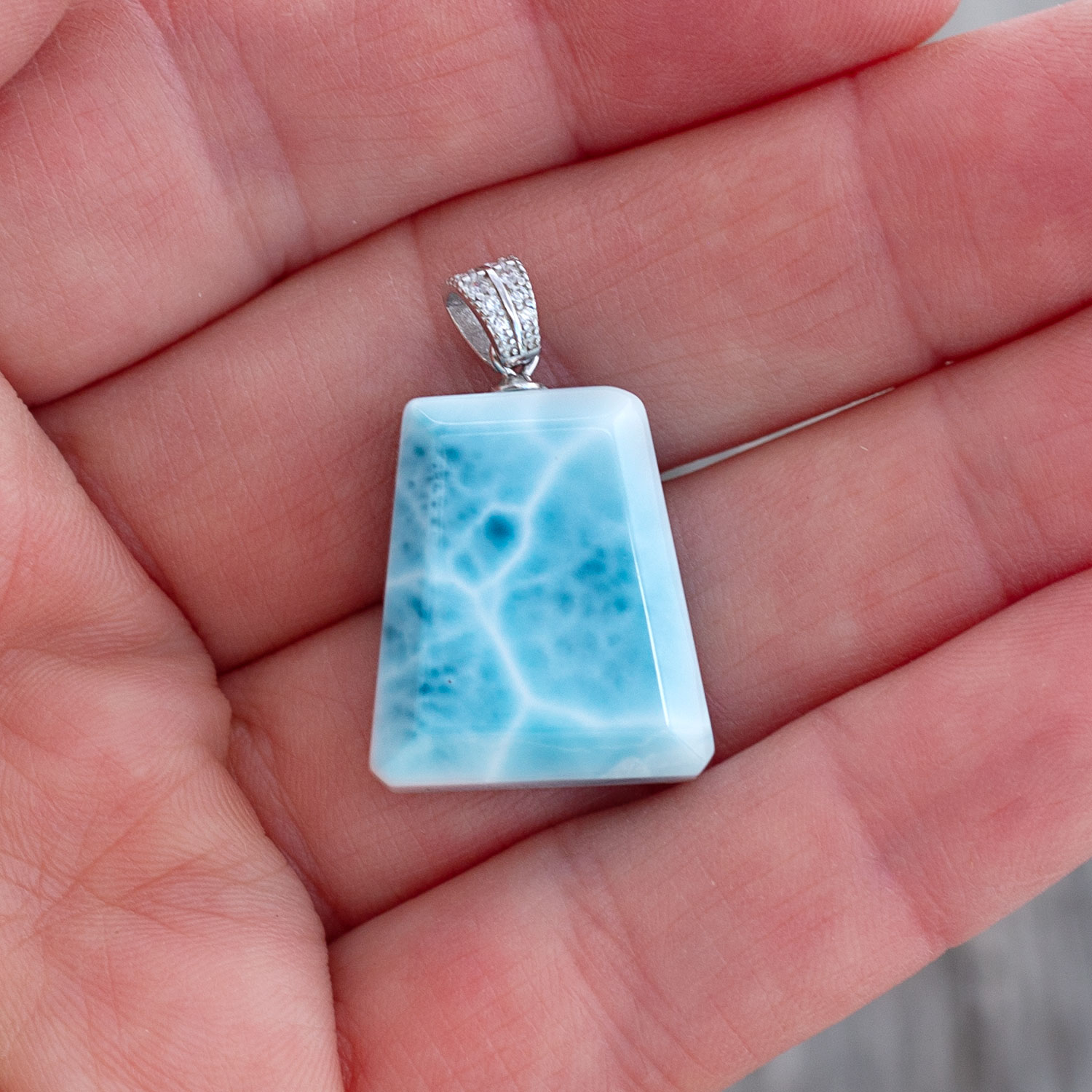 Larimar Anhänger 21x18x7mm trapezförmig AAA+ matrixfrei turtle pattern