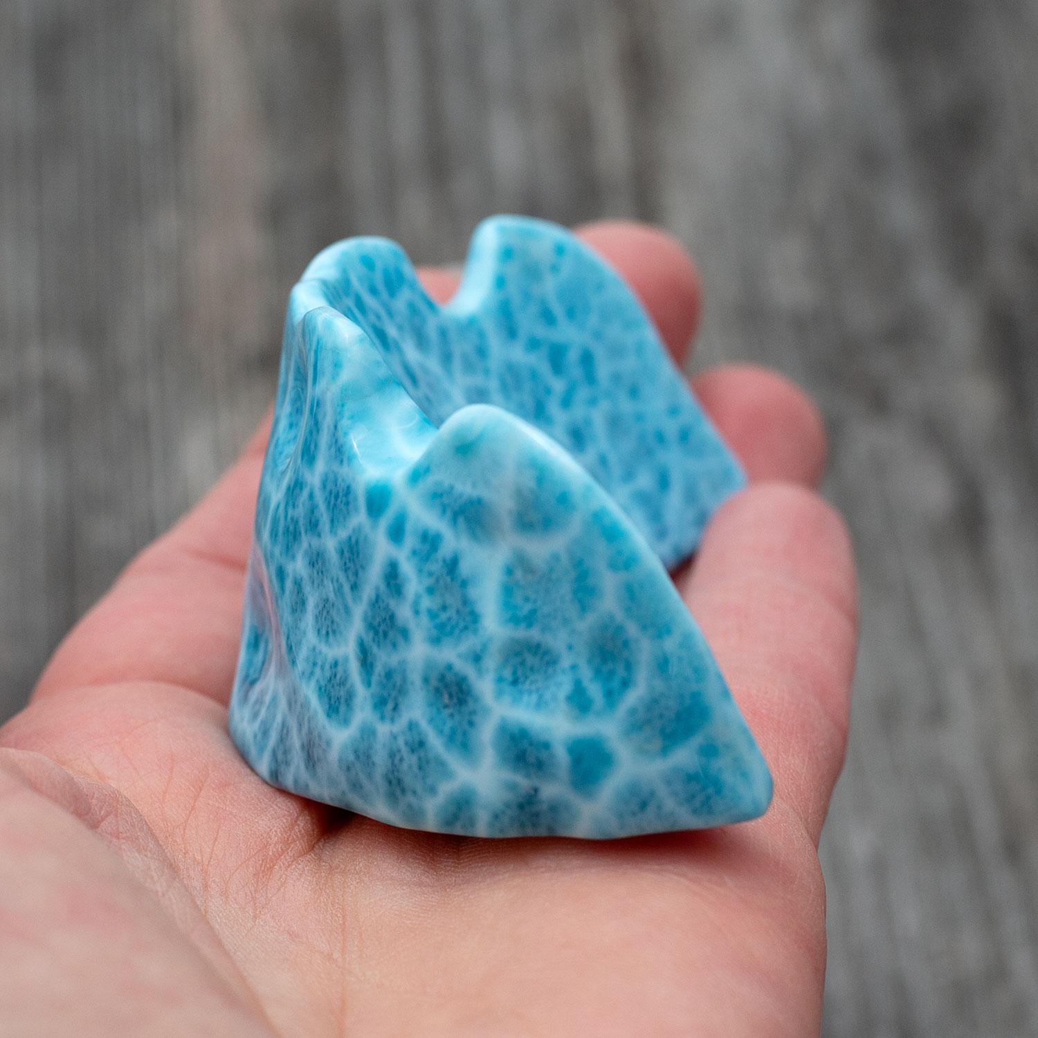 Larimar Freiform Krone ca.79x42x28mm AAA+ matrixfrei turtle pattern Rarität Sammlerstück