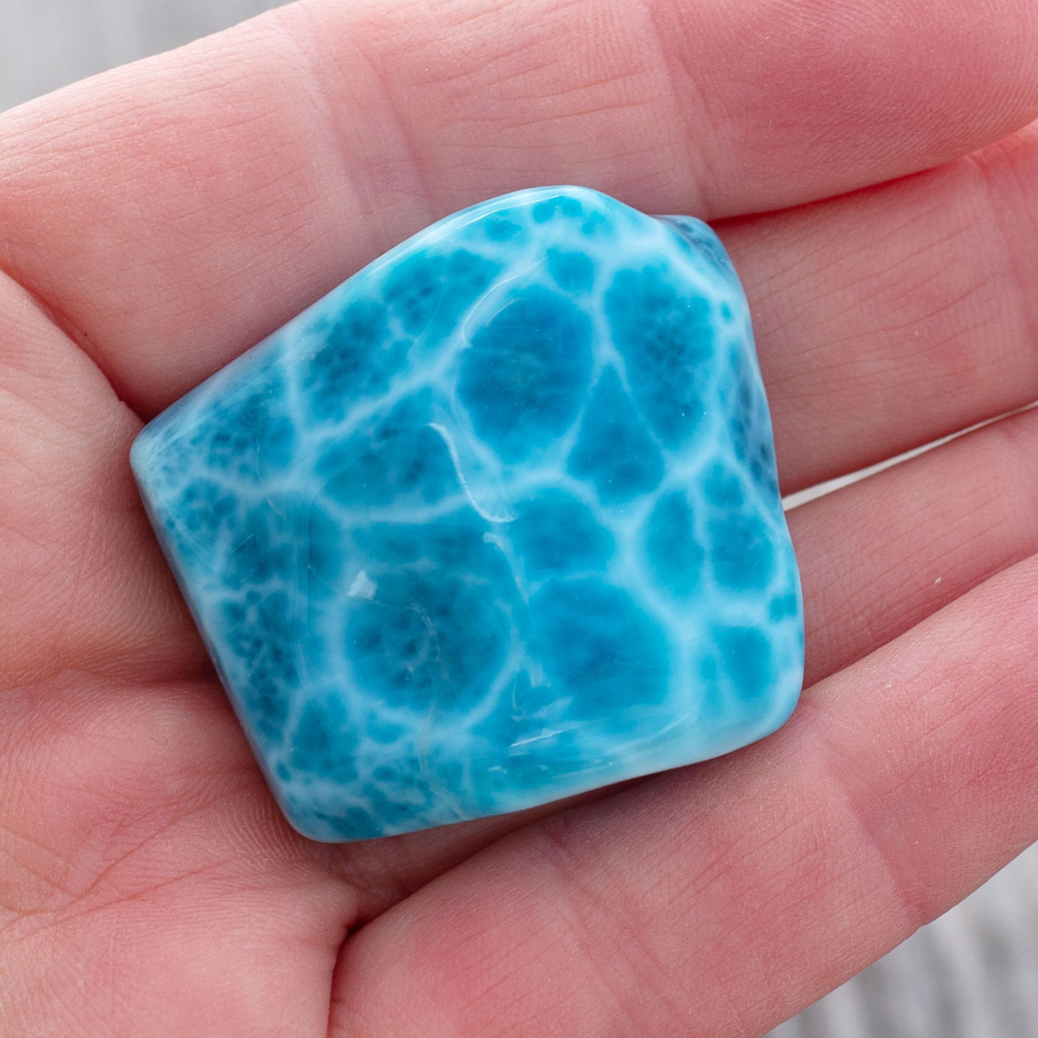 Larimar Freiform ca. 35x32x14mm AAA1 matrixfrei tiefblau turtle pattern Sammlerstück