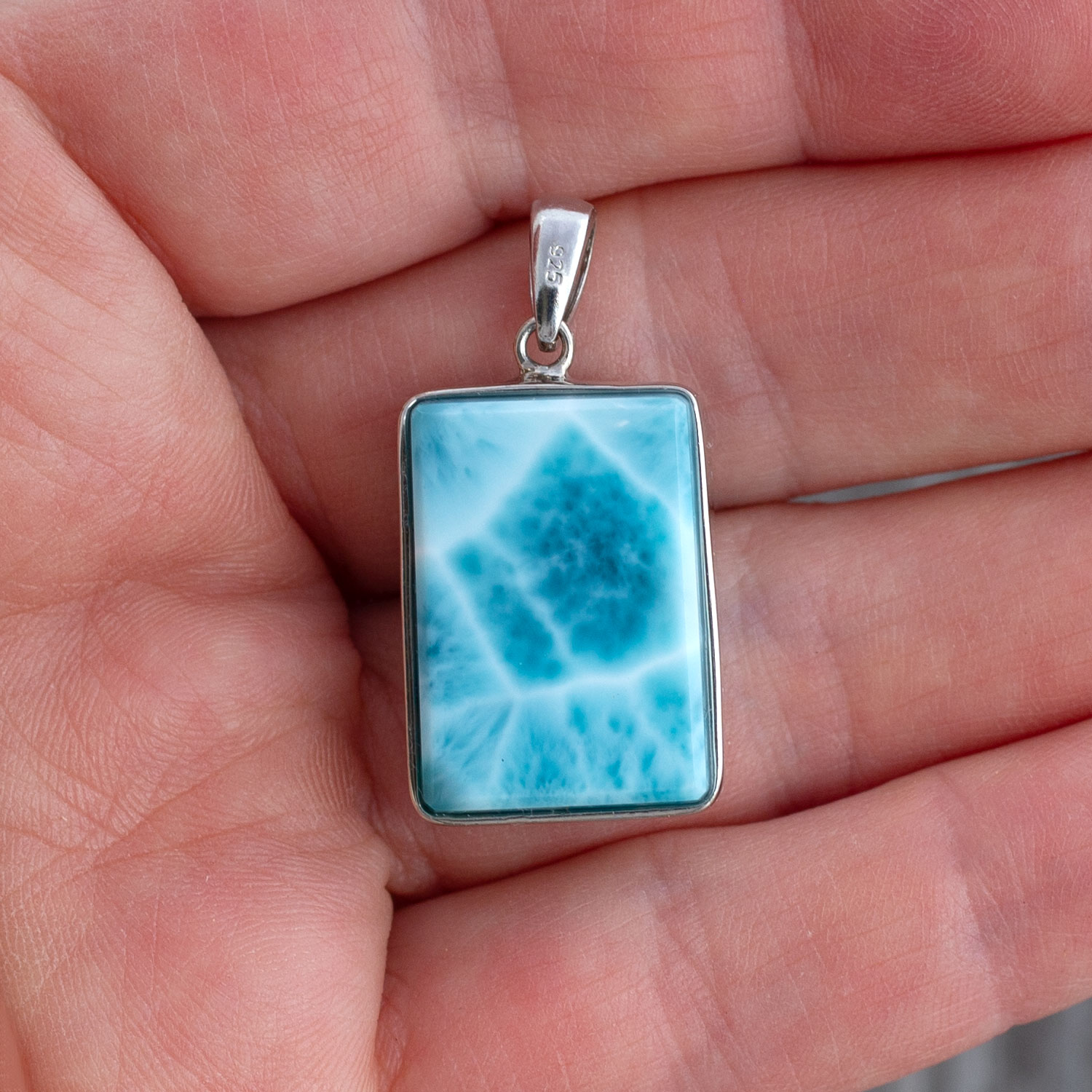 Larimar Anhänger 22x15x8mm rechteckig AAA+ turtle pattern