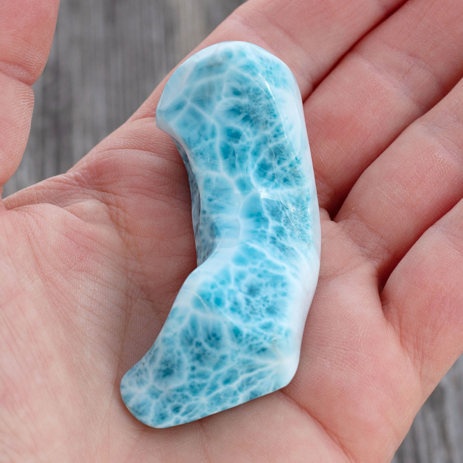 Larimar Freiform ca. 55x20-34x25mm AAA1 matrixfrei turtle pattern Sammlerstück